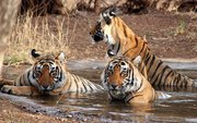 National Parks of India