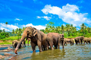 Holidays To Kerala India