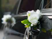 Event Chauffeur Service