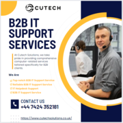 Streamlining Business Success: B2B IT Support Solutions