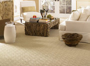 carpet cleaning services in harrow