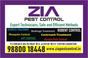 Rodent Control pest control