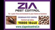 Zia Pest Control | Cockroach pest control cleaning services | 6023