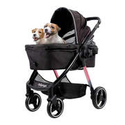 Dog Travel Solutions for Every Adventure