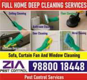Service,  Other,  Deep Cleaning,  House Cleaning,  Pest control Solution.