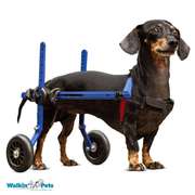 Premium Dog Wheelchairs UK