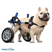 Dog Wheelchairs UK