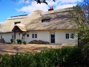 Thatch Roof Repairs